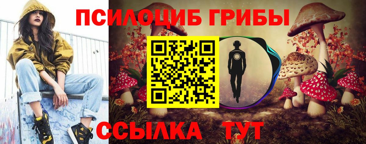 Анжеро-Судженск  Галлюциногенные грибы ЛСД  Вход с VPN 