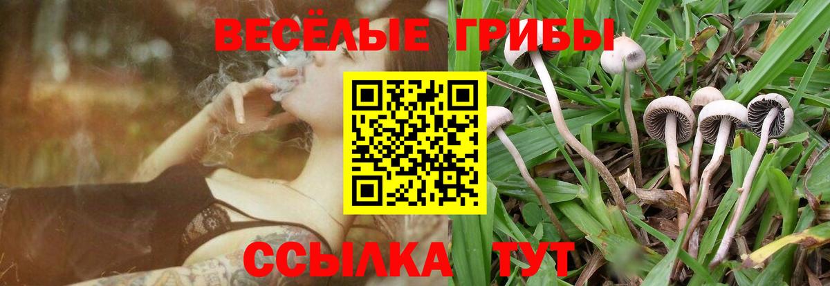 Галлюциногенные грибы Magic Shrooms Анжеро-Судженск